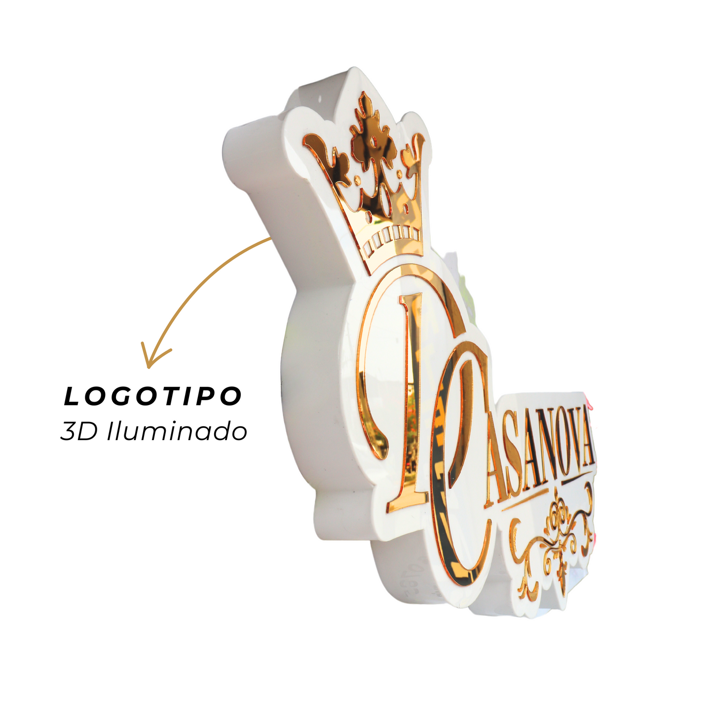 013 | Illuminated 3D cloud logo notice