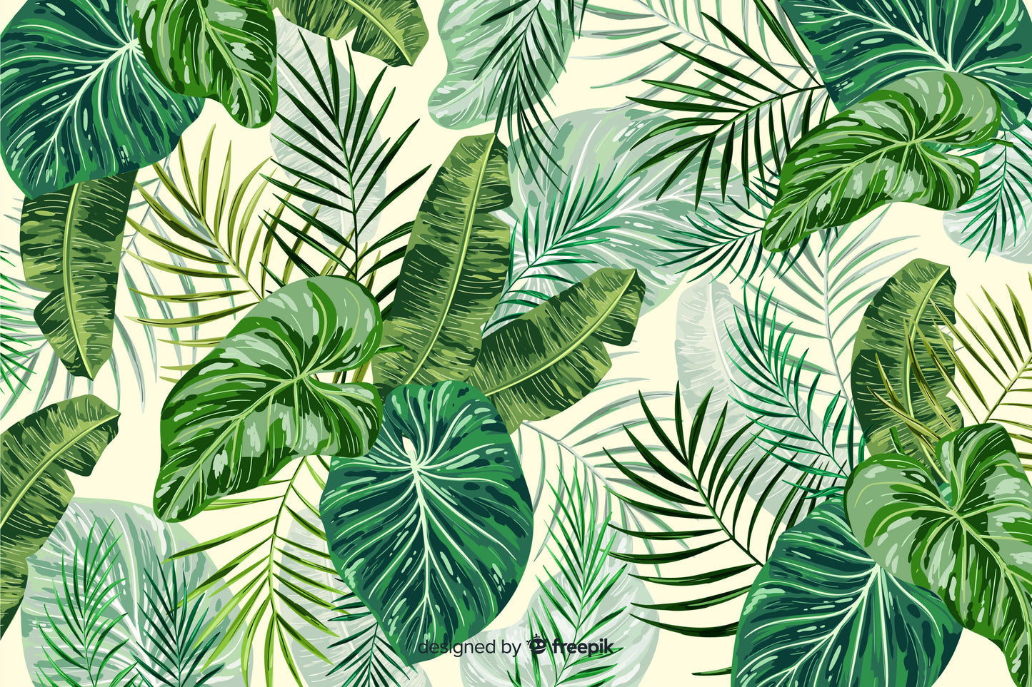094 | Tropical Leaves Murals