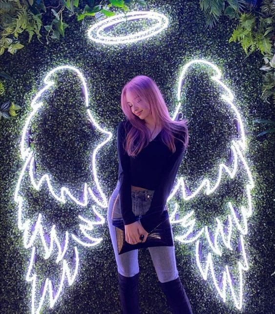 066 | Neon Wings one color