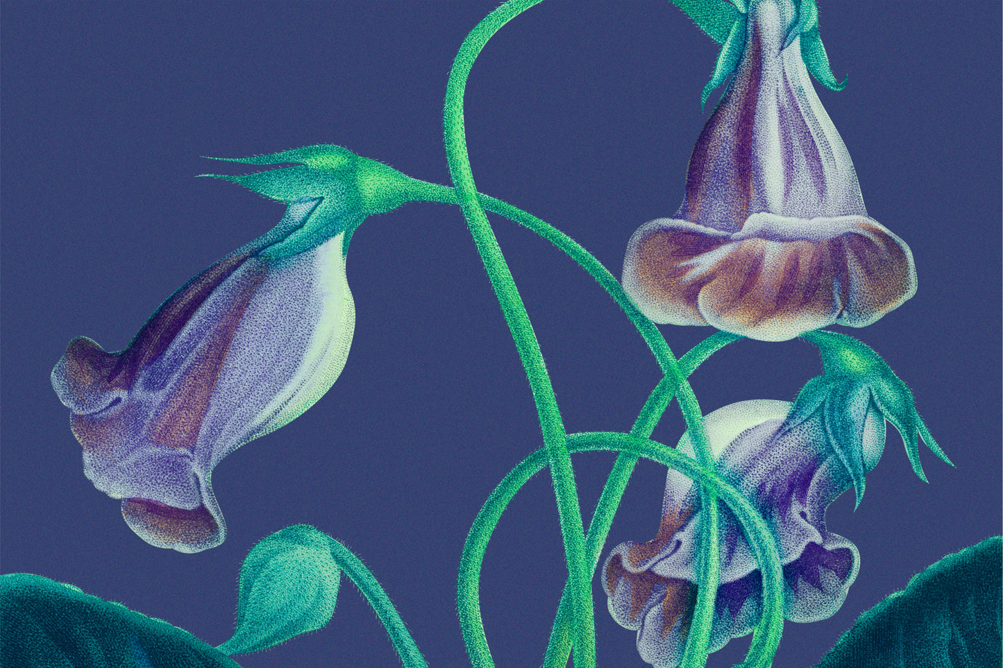 092 | Botanical Watercolor Murals