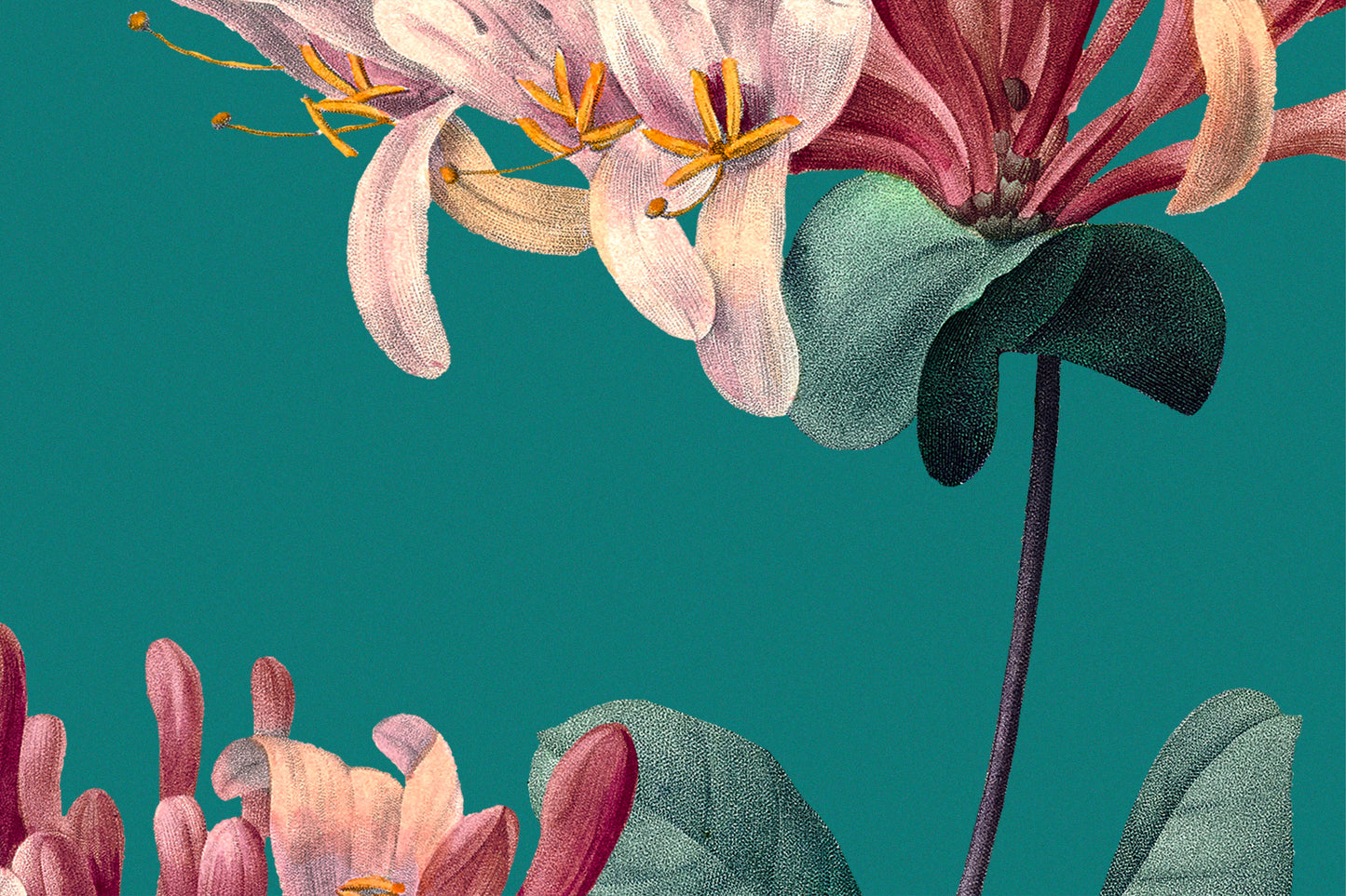 092 | Botanical Watercolor Murals