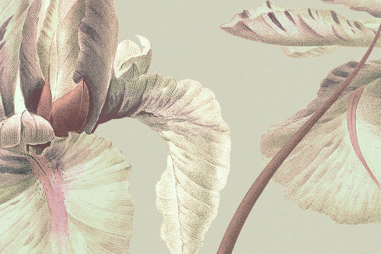 092 | Botanical Watercolor Murals