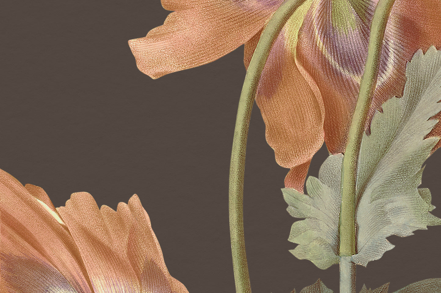 092 | Botanical Watercolor Murals