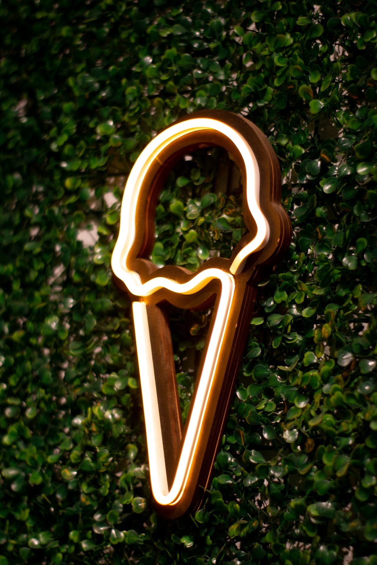 058 | Neon Figure