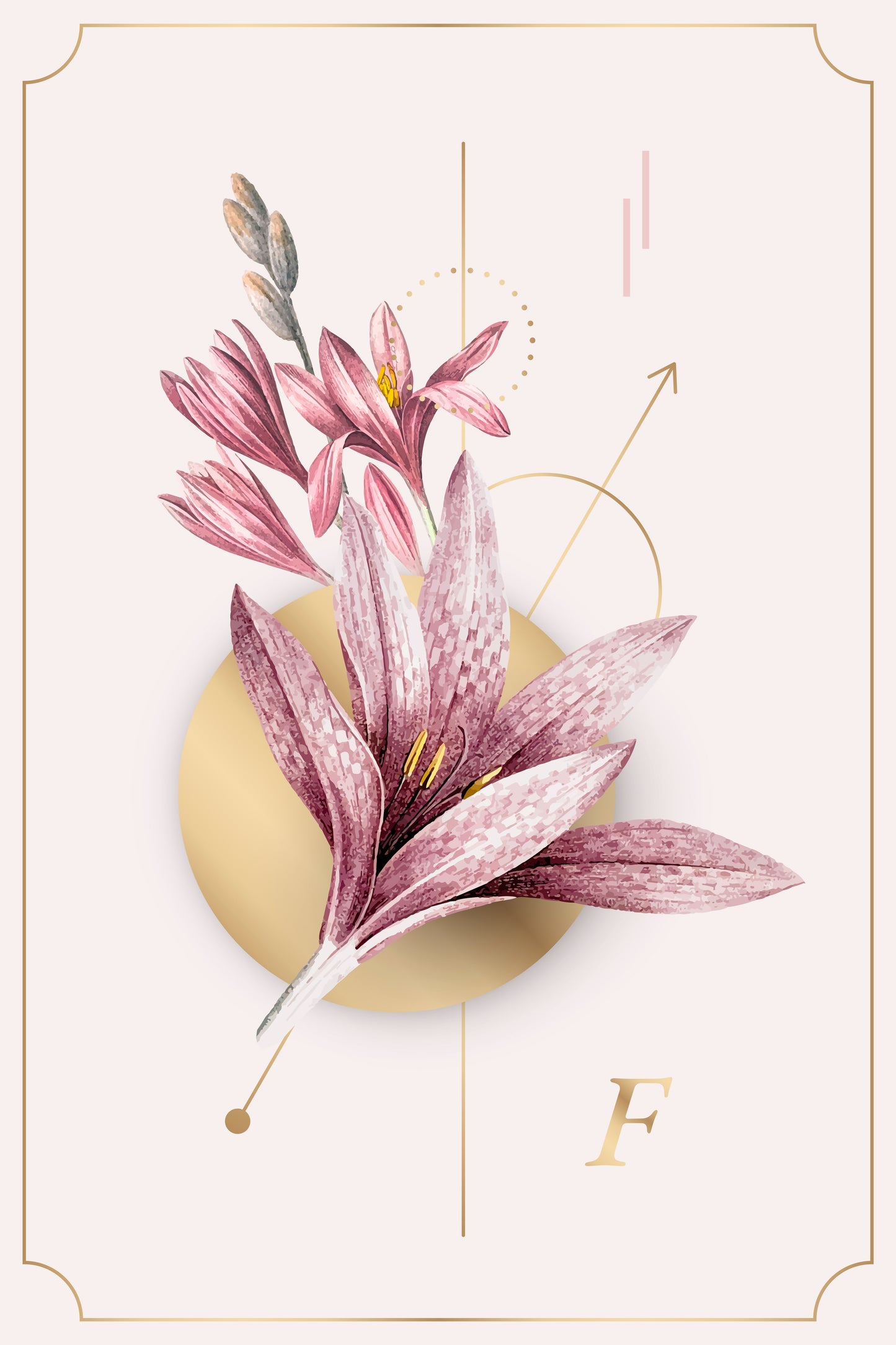 093 | Pink Amaryllis Murals