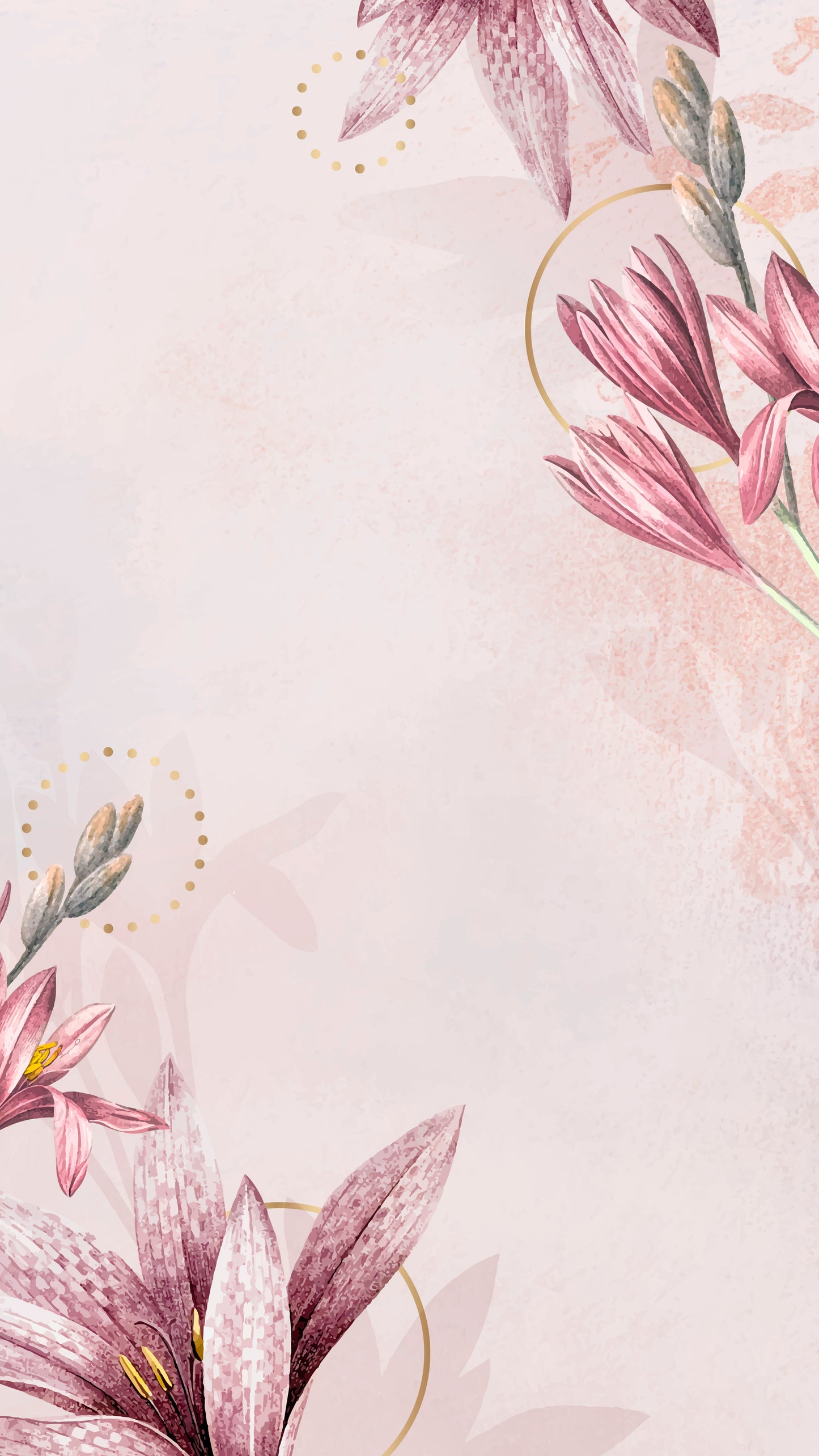 093 | Pink Amaryllis Murals