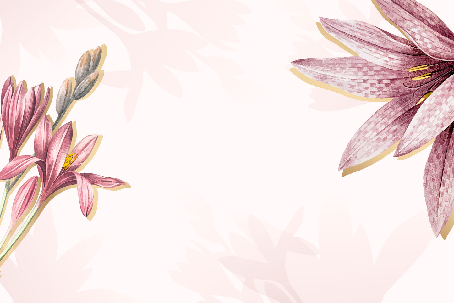 093 | Pink Amaryllis Murals