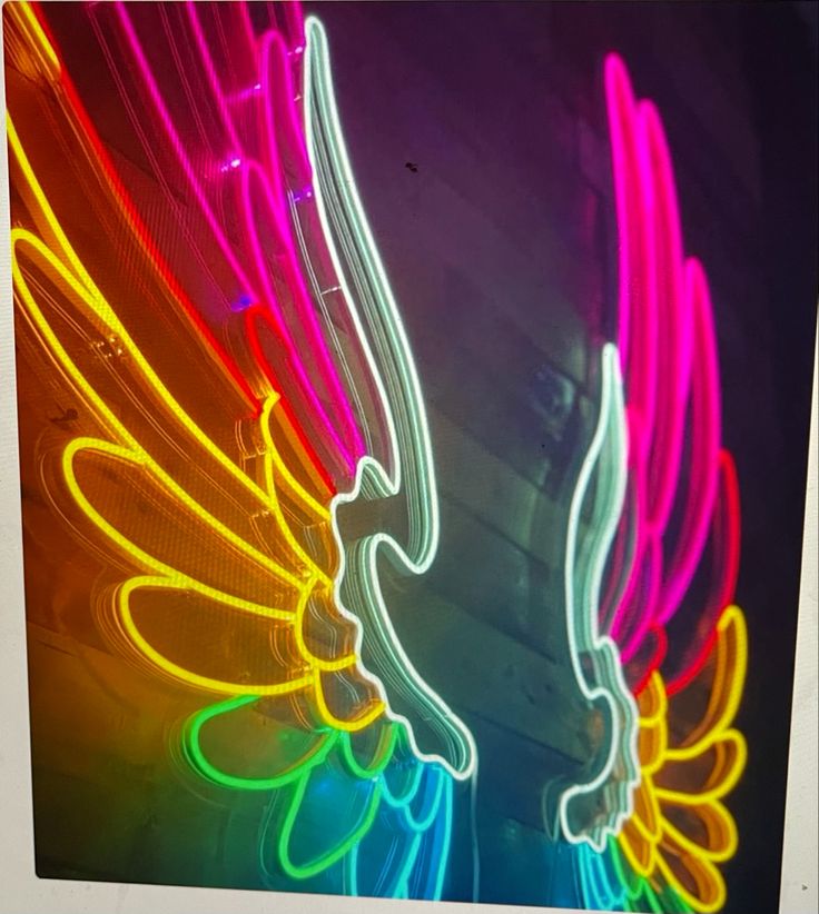 067 | Neon Multicolored Wings